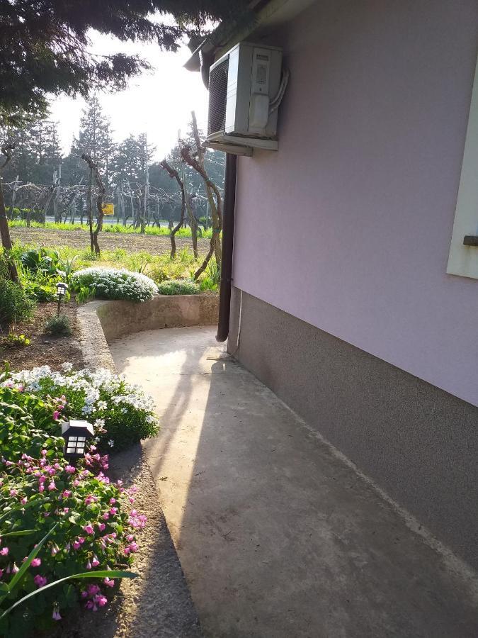 Istra Apartment Koper Bagian luar foto