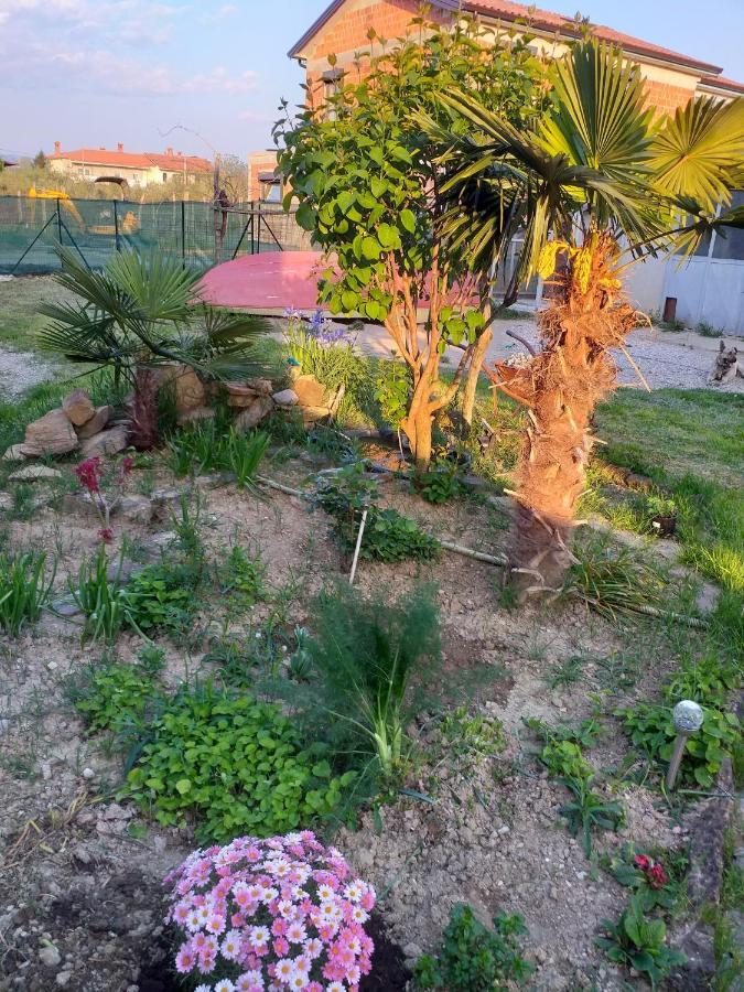 Istra Apartment Koper Bagian luar foto